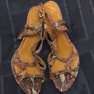 Heels  
